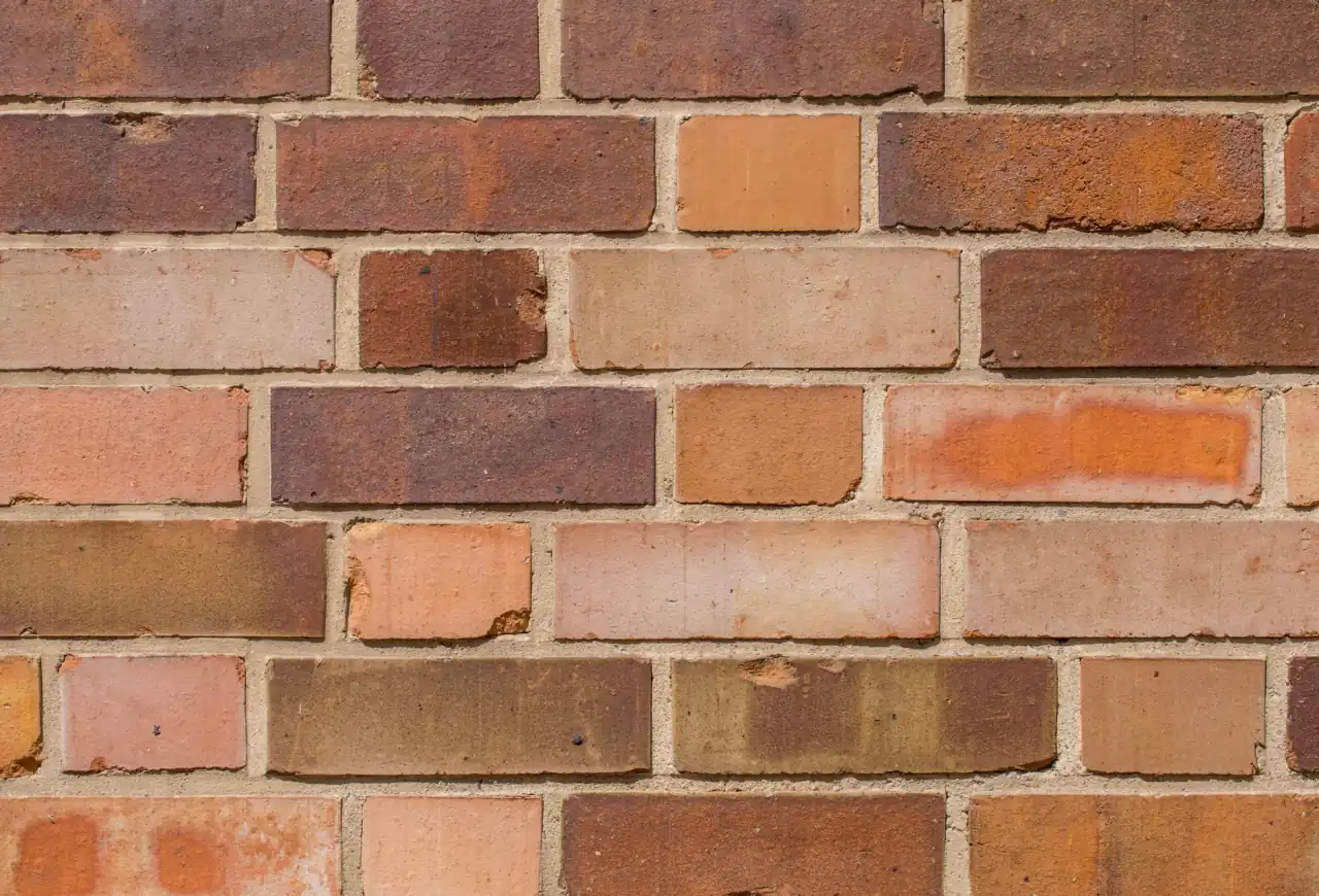 植发手术器械精细化改良对毛囊提取成活率的影响分析