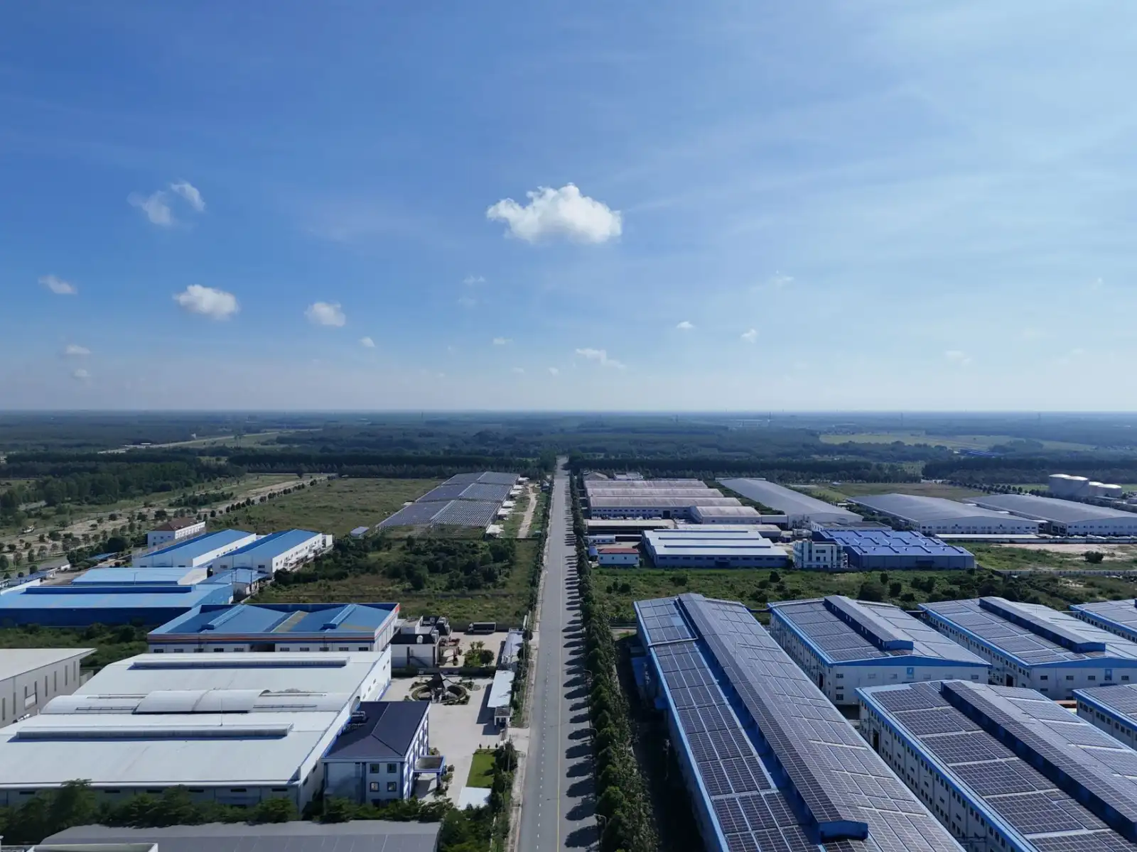 植发手术器械技术解析：毛囊提取效率与精度优化方案