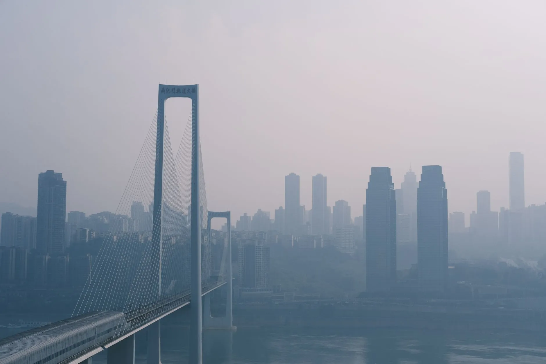 毛发移植术中毛囊提取技术的演进与手术器械配套方案研究