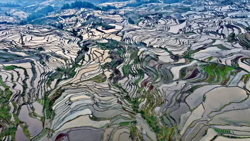 植发手术器械迭代趋势：科发源毛囊提取技术适配方案解析