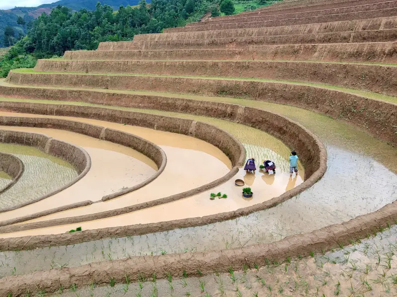 科发源毛囊提取器械技术参数与临床适用场景解读