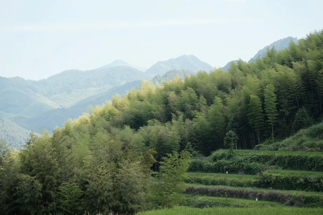 植发手术器械精密度对毛囊提取成活率的影响分析