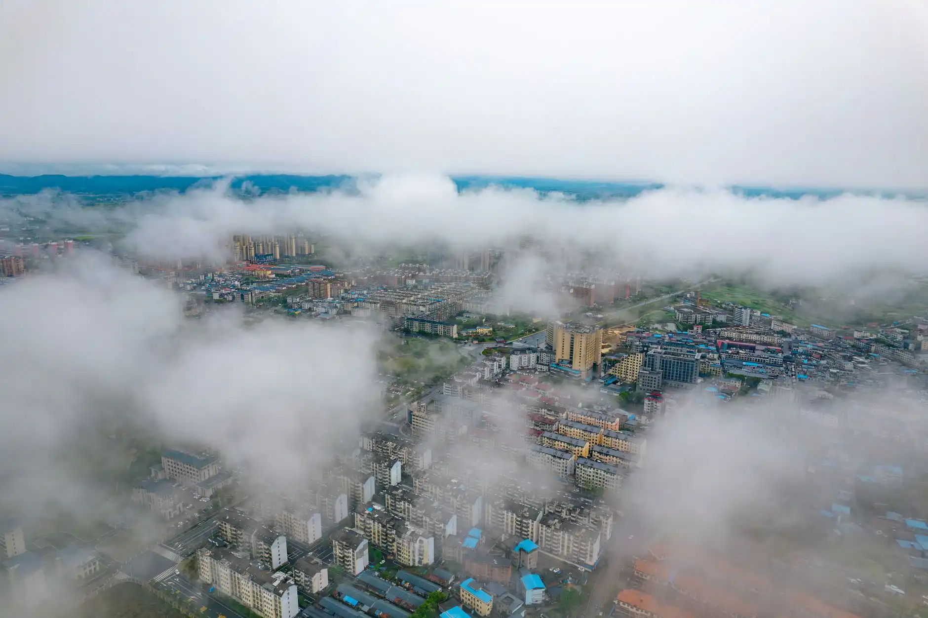 植发手术中毛囊提取器械的技术演进与临床应用分析